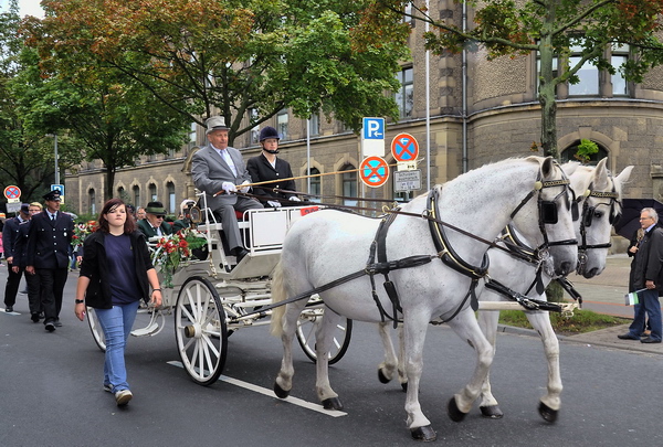 Schuetzen2011   519.jpg